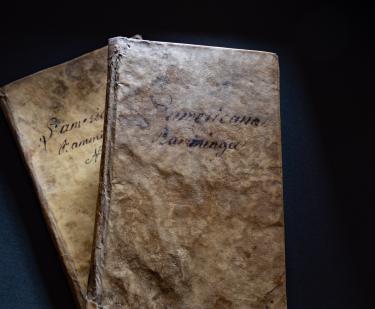 Two books bound in vellum with manuscript writing on them are pictured on top of each other.