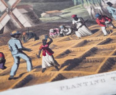 Detail of a hand colored lithograph shows enslaved Black people planting sugar cane in an open field.