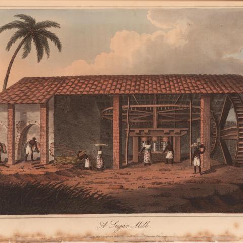 Black people work at a sugar mill with clouds and a palm tree outside 