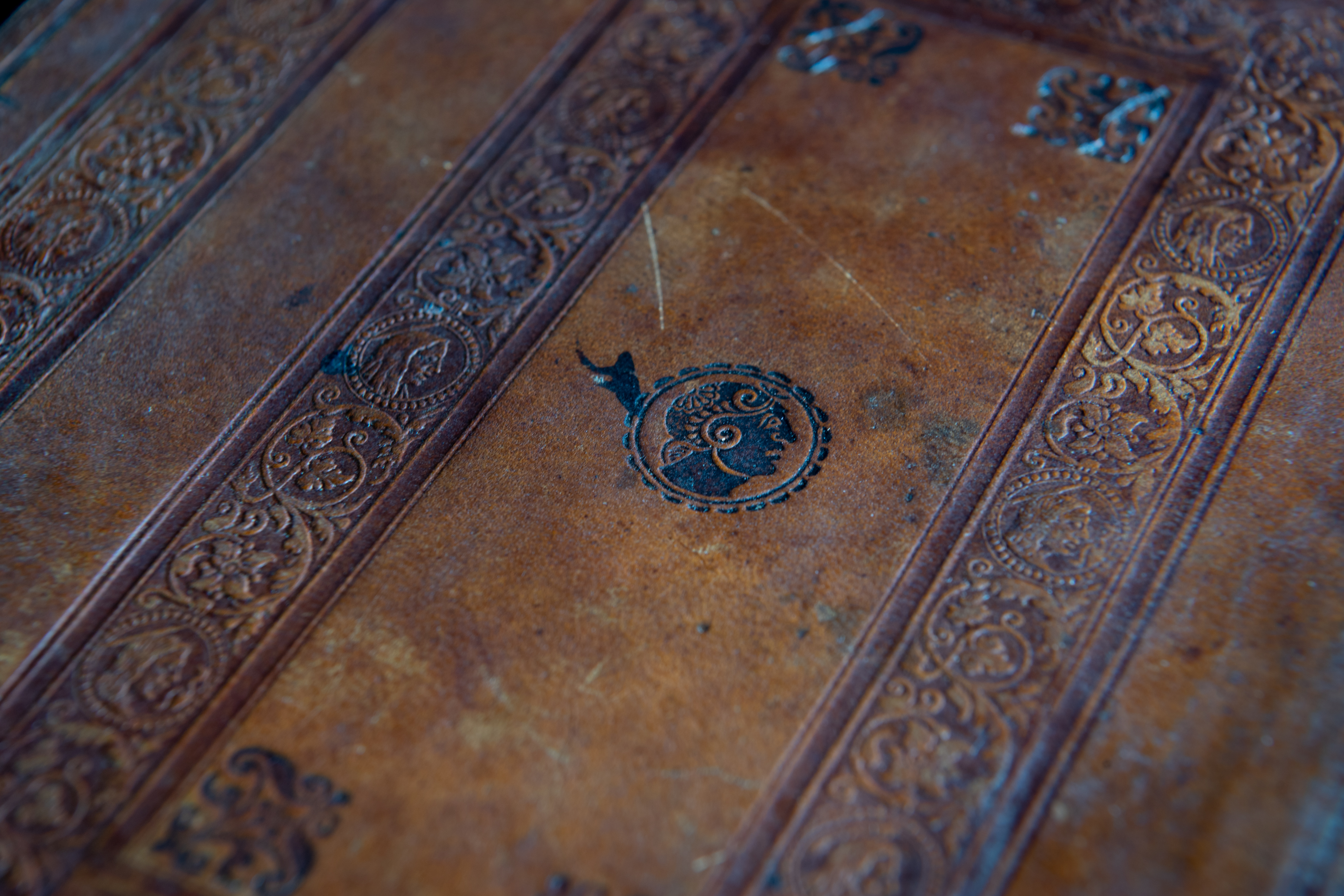Detail of brown book binding shows the embossed details.