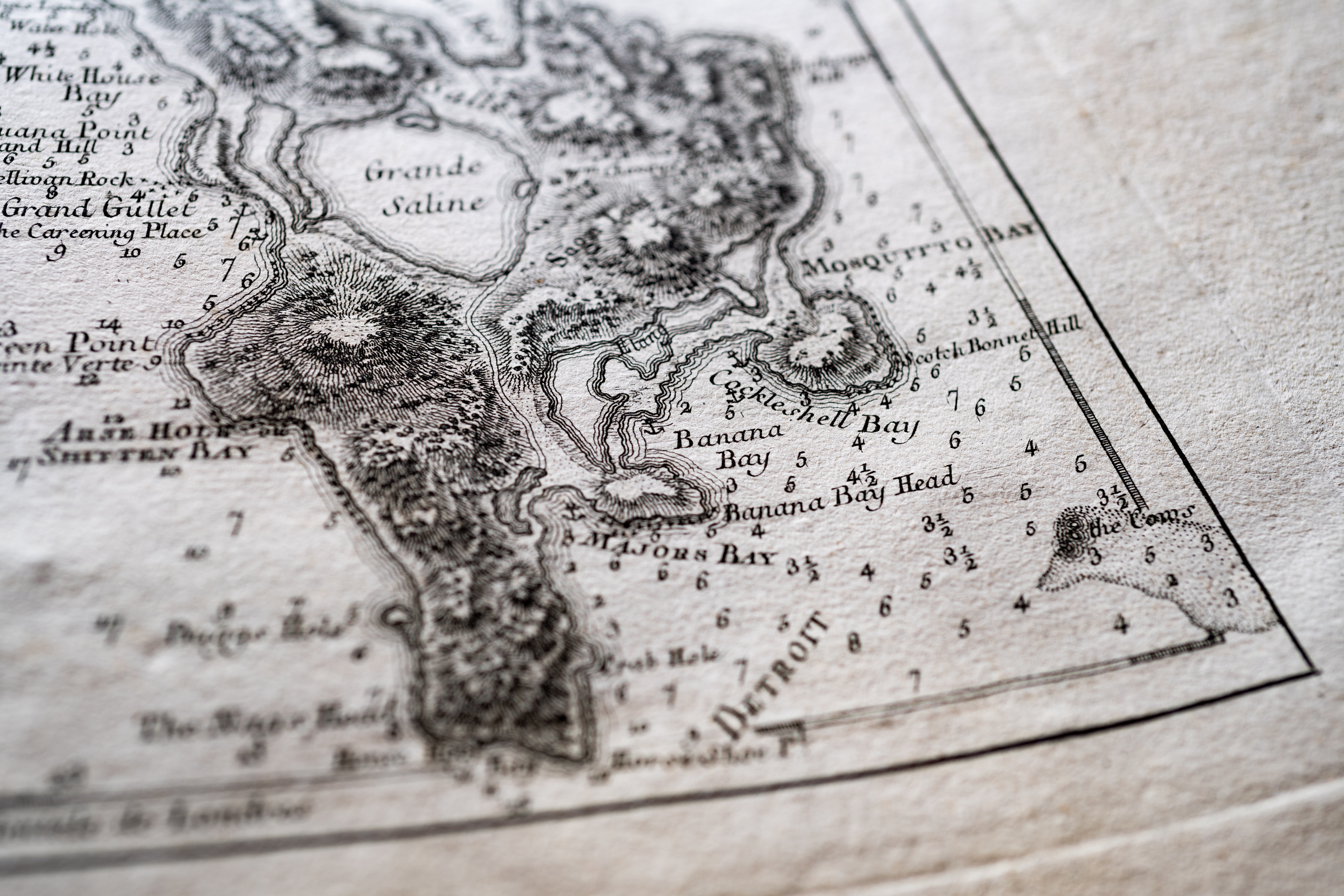 Detail of a printed map shows Detroit with labels reading "Grande Saline," "Mosquitto Bay," and so on.