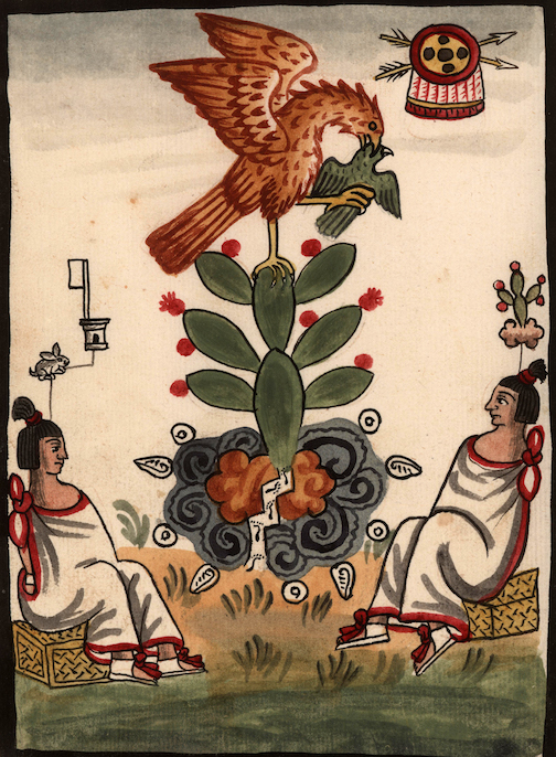 two rulers sit in the foreground as an eagle devours a bird while perched on a flowering cactus