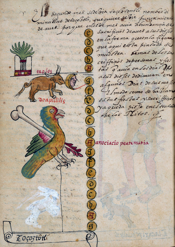 A bird with yellow feathers is shown stabbed with a bone tool. Also included is a bull and moon, as well as a symbol with many leaves.