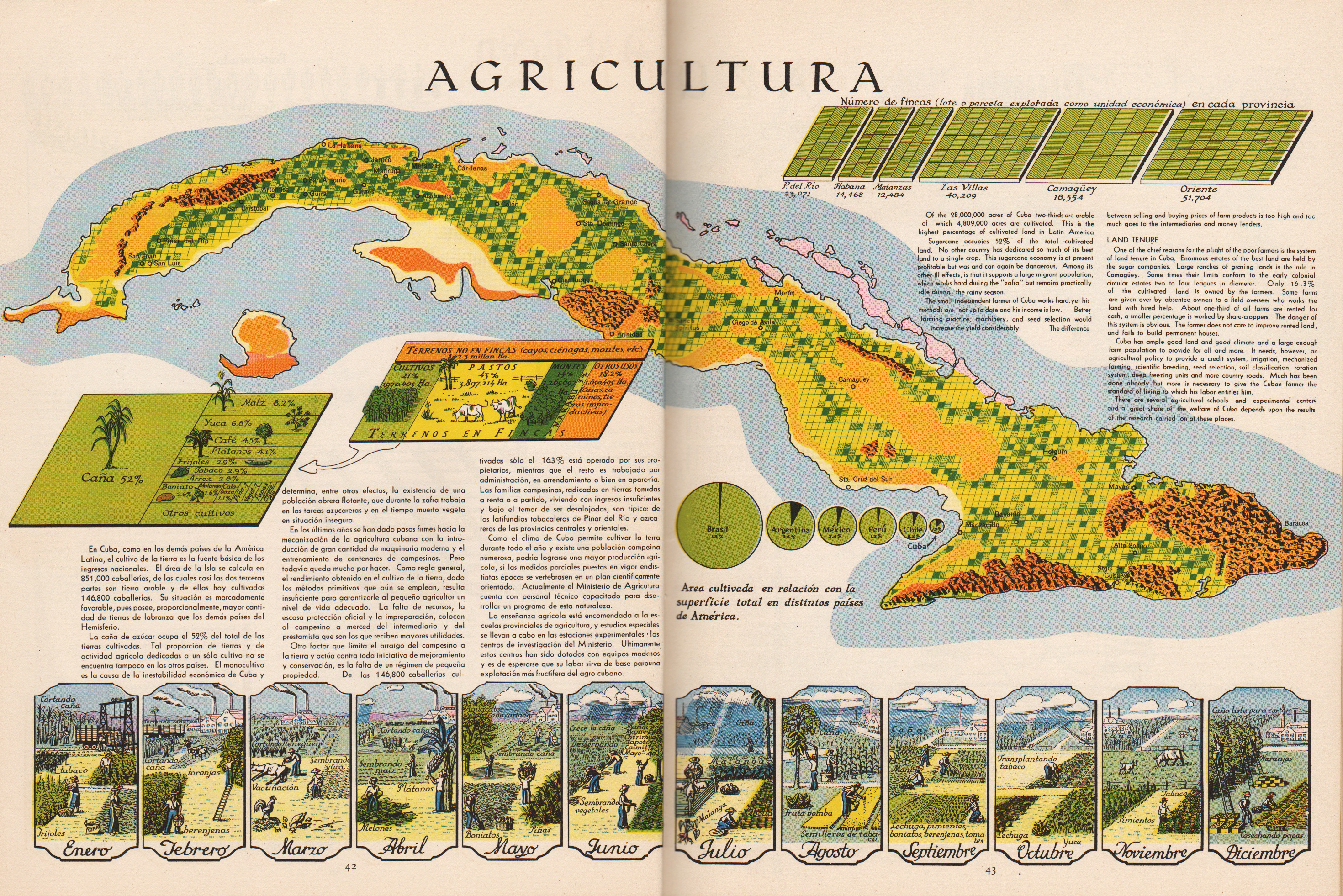 Gerardo Canet and Erwin Raisz, “Agriculture” pages in Atlas de Cuba, 1949