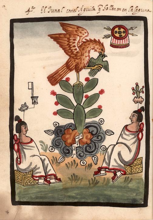 two rulers sit in the foreground as an eagle devours a bird while perched on a flowering cactus
