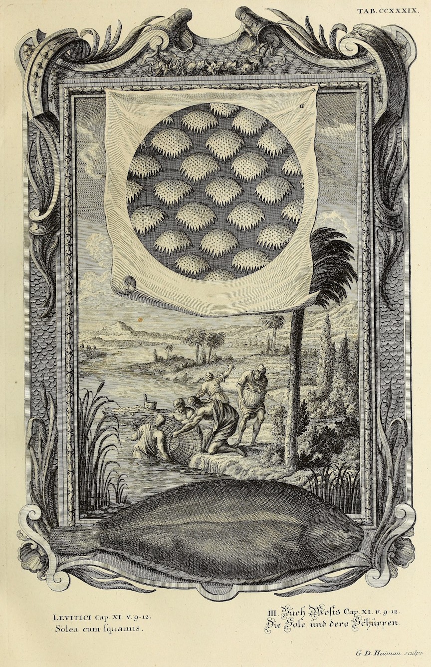 illustration featuring fishermen and fish scales