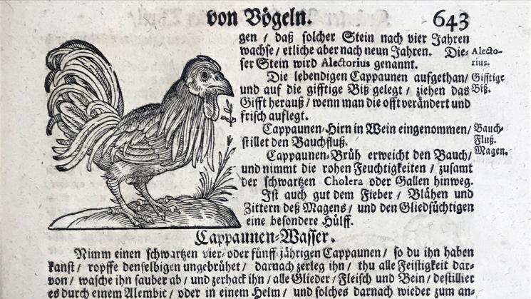 woodcut of a chicken and a turkey alongside printed text in German