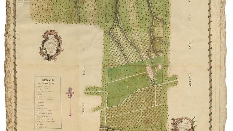 plan of coffee plantation in Saint Domingue