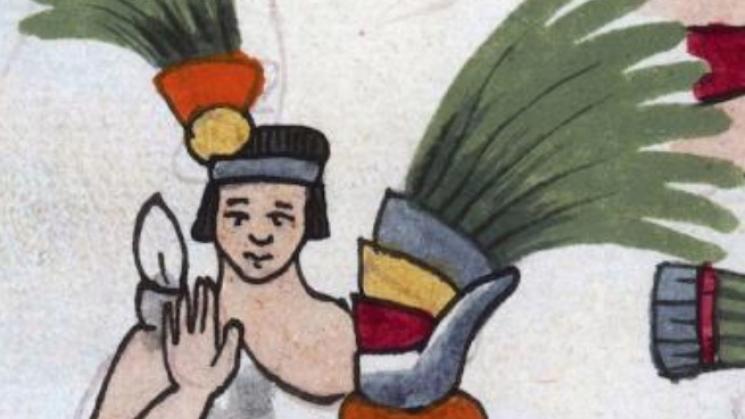 image from the tovar codex