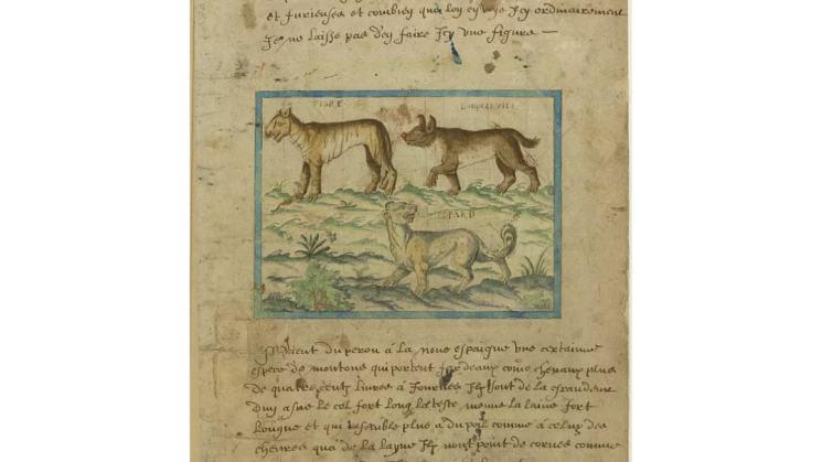 The image shows a document with text and drawings of several animals.