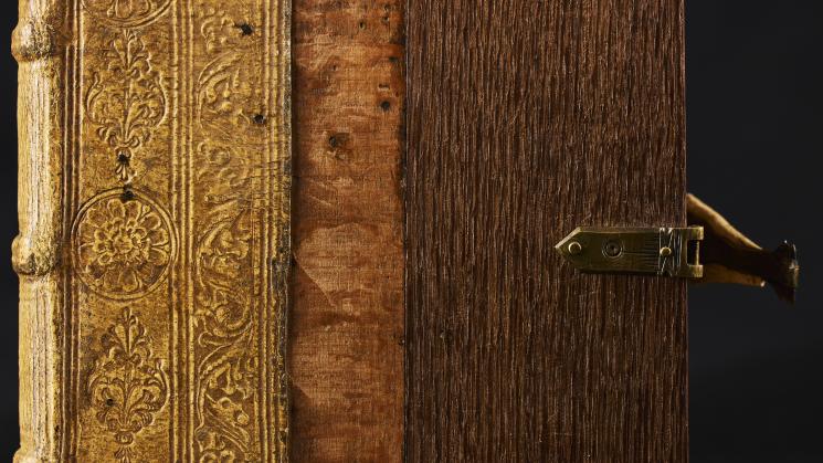 The image shows the cover of a book featuring various wooden panels in different tones.