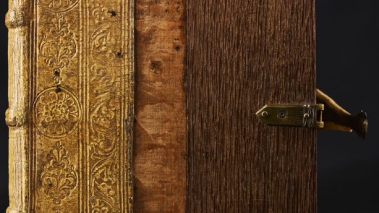 The image shows the cover of a book with various types of wood.