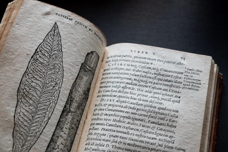 Detail of a printed book shows a full-page illustrations of plants and text in Latin on the opposite page.