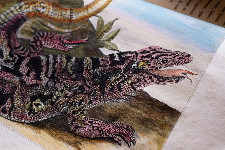 Detail of a printed book shows a full-paged colored illustration of a crocodile and plants in the background.