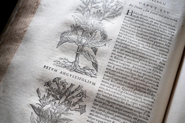 Printed text shows two plants along half a page with text in Latin.