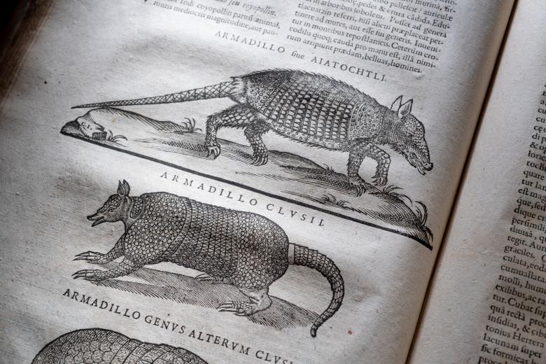 Printed text shows two armadillos along with some text in Latin.