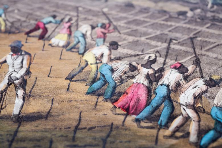 Detail of a hand colored lithograph shows enslaved Black people tilling the soil in squares marked by sticks.
