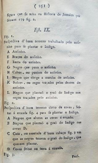 printed text in Portuguese