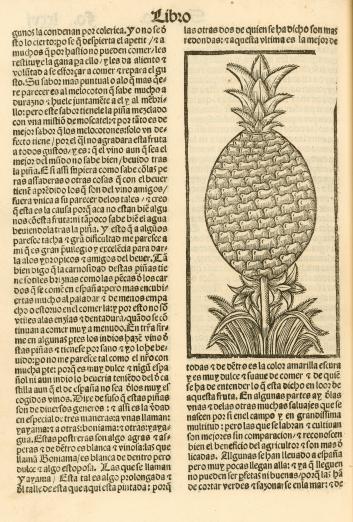 printed text in Spanish with an image of a pineapple