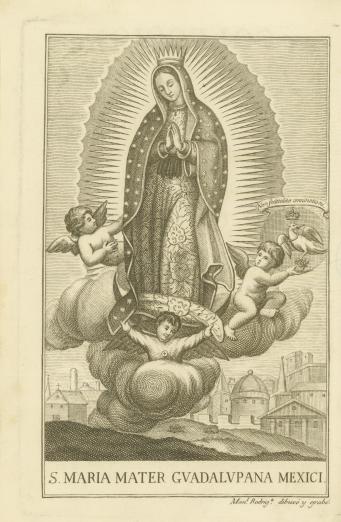 image of the Virgin of Guadalupe
