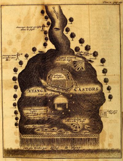 depiction of beavers, their habitats, and hunters