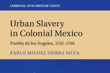 image of urban slavery in colonial Mexico: Puebla de Los Angeles, 1531-1706 book cover, authored by Pablo m. Sierra silva