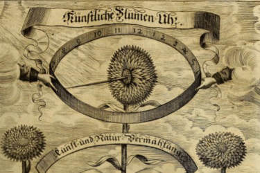 Image of an artificial flower clock, with two hands emerging from clouds on either side holding a numbered circle, and a thorn stemming from the flower's circle pointing at the time.  