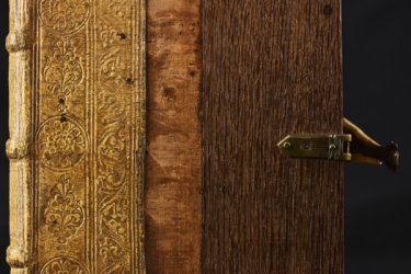 The image shows the cover of a book with various types of wood.